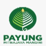 PT. Payung Mitrajaya Mandiri