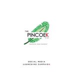 The Pincoek